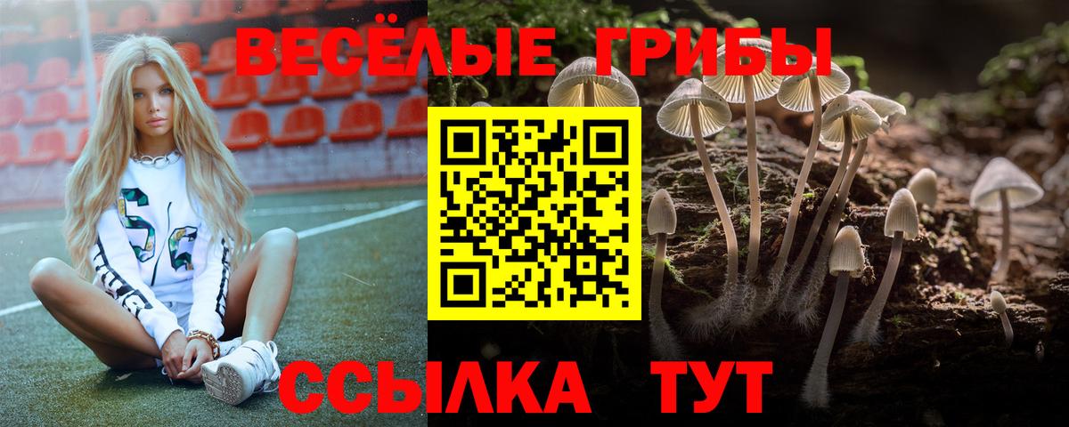 Псилоцибиновые грибы мухоморы Первоуральск
